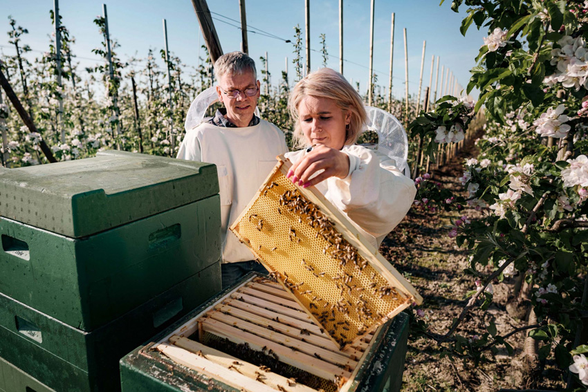 Piquee - advertising - 06