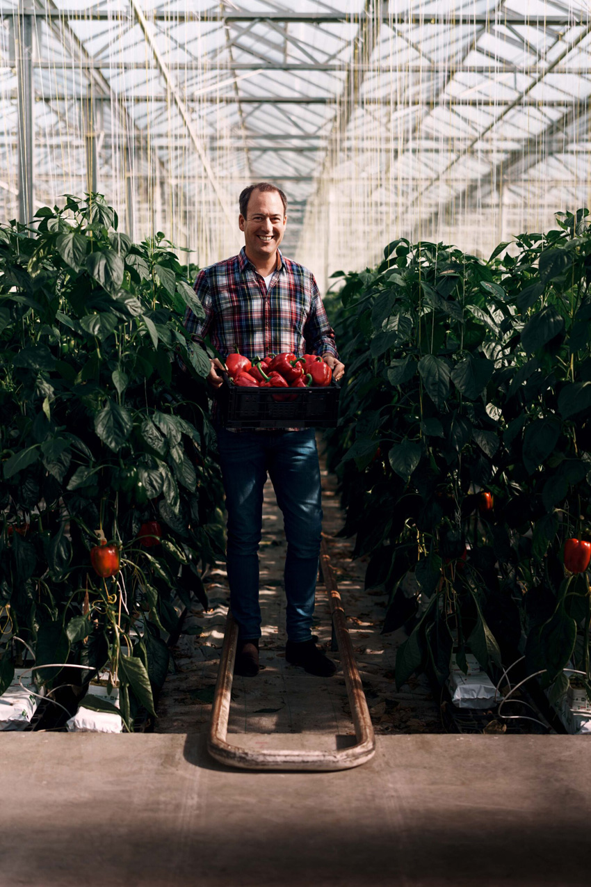 Piquee - advertising - 06