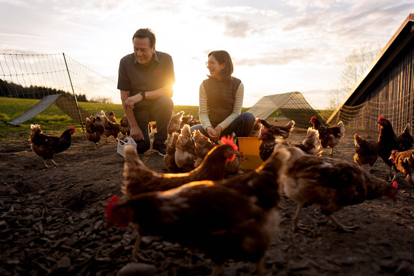 Piquee - advertising - 06