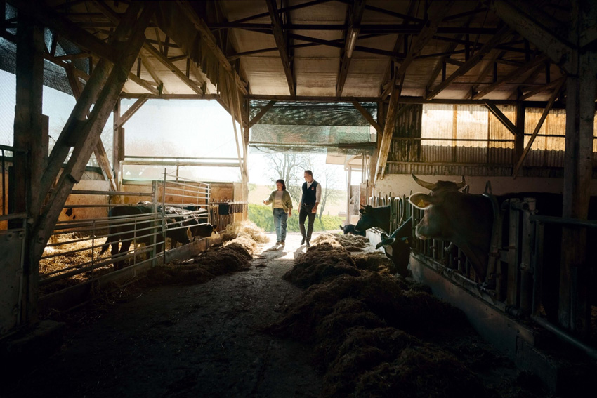 Piquee - advertising - 06